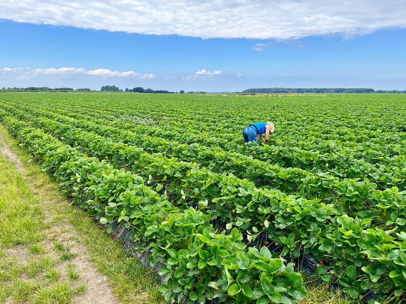 24-06-28 14-02-37 9990